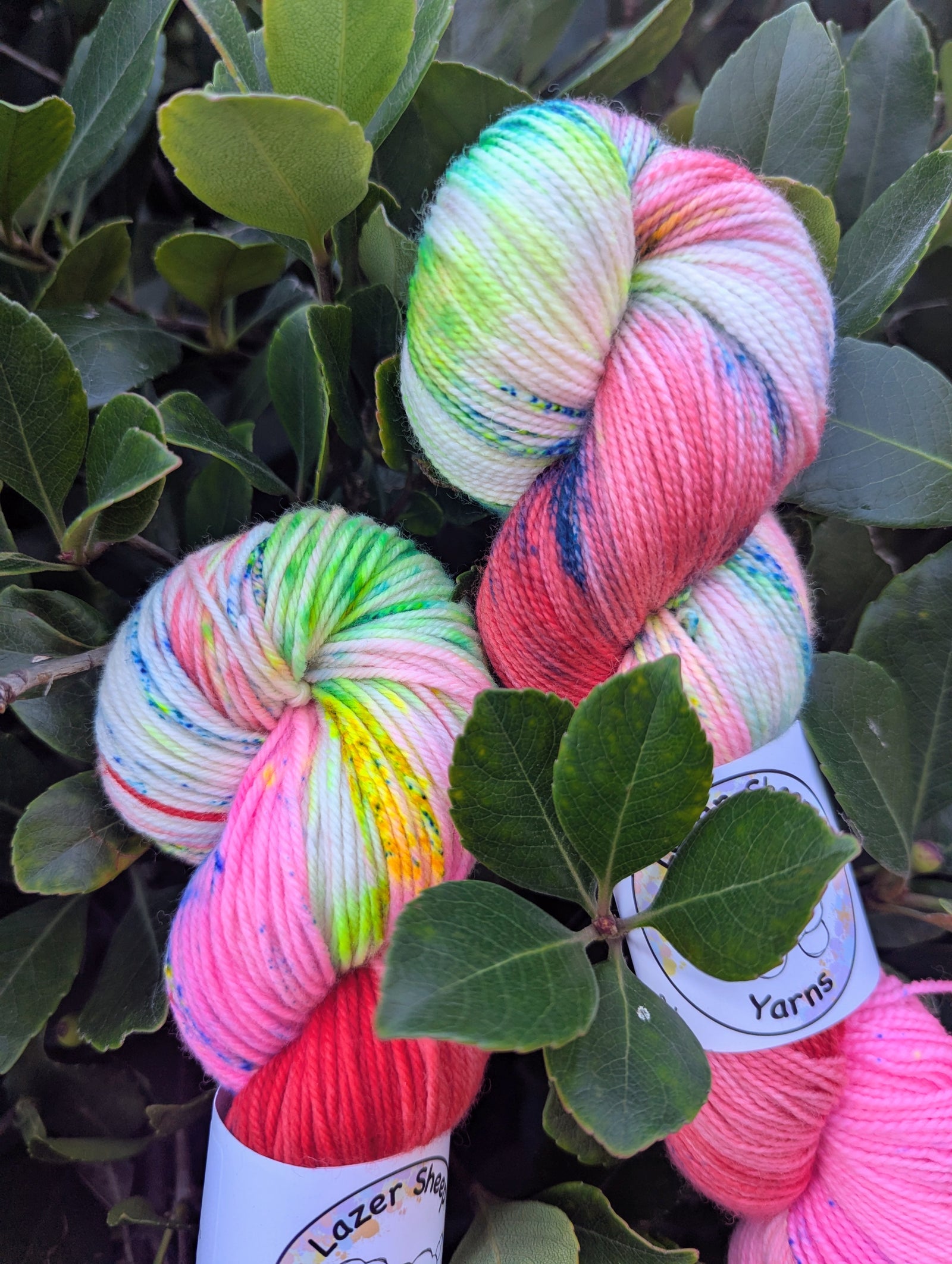 Lazer Sheep Yarns Superwash DK