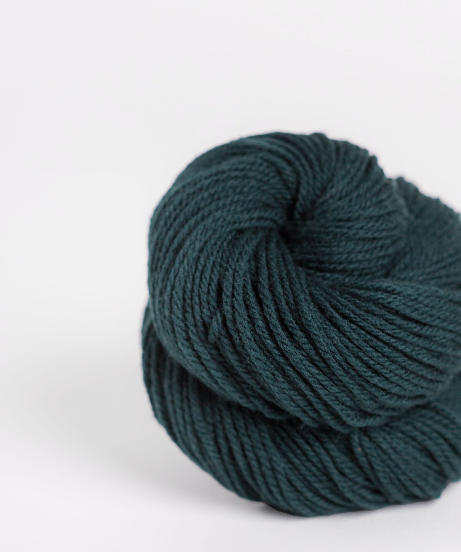 Brooklyn Tweed Arbor Yarn - Apricot Yarn & Supply