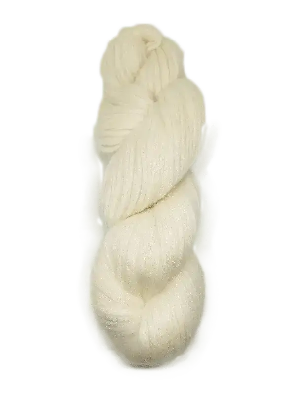 illimani_amelie_bone