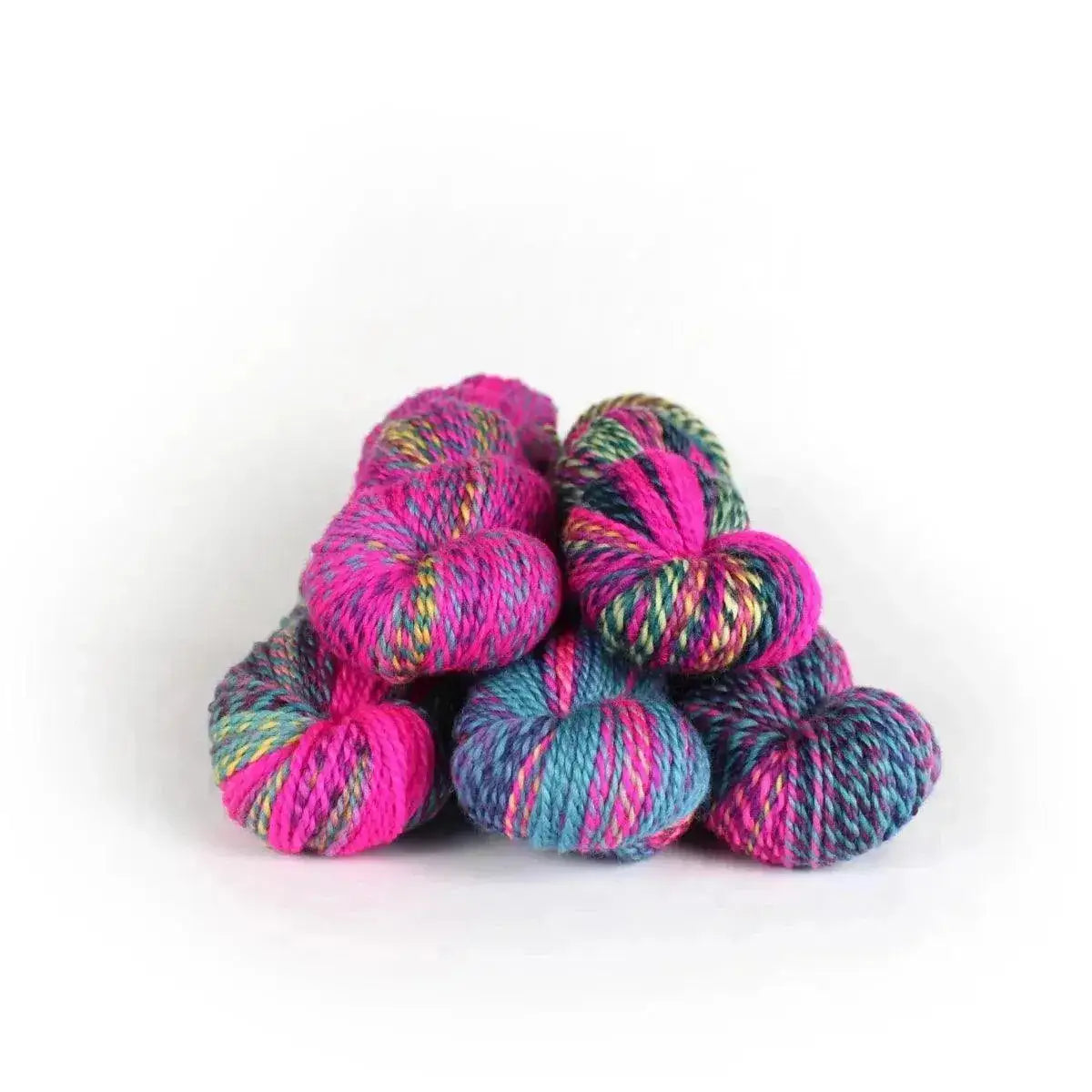 making-tracks-vermont-vice