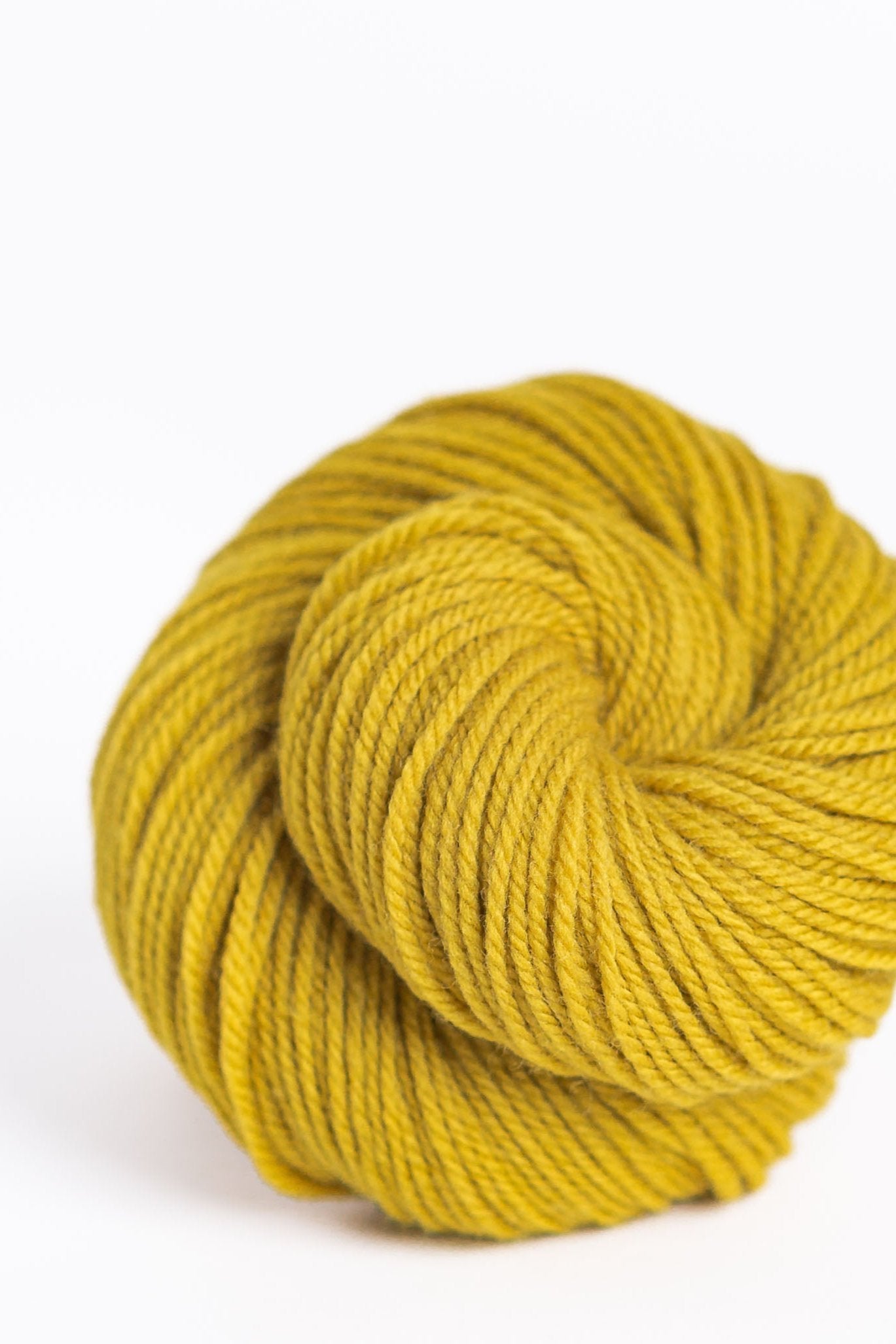 Brooklyn Tweed Arbor Yarn - Apricot Yarn & Supply