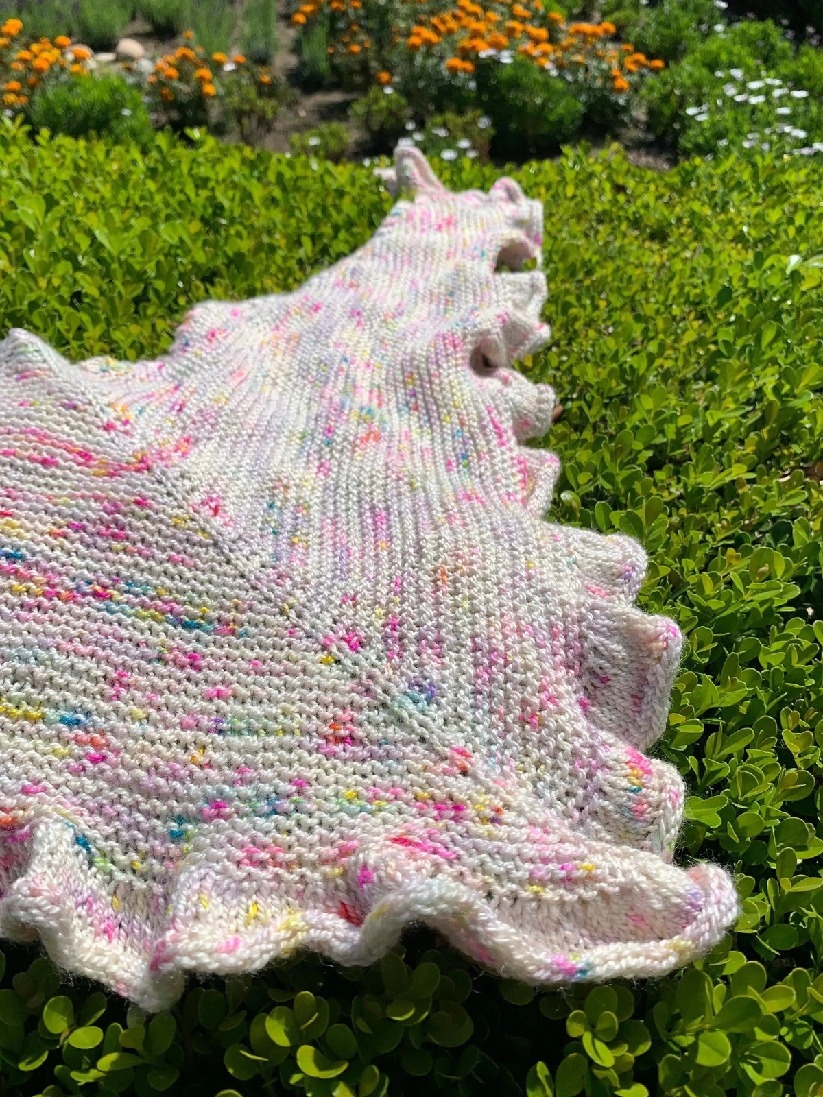 Petal Shawl Pattern - Apricot Yarn & Supply