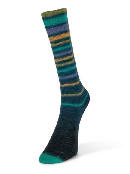 Laines du Nord Paint Infinity Sock Yarn