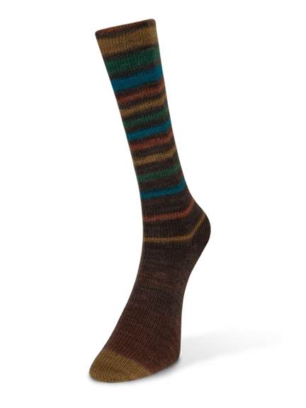 Laines du Nord Paint Infinity Sock Yarn