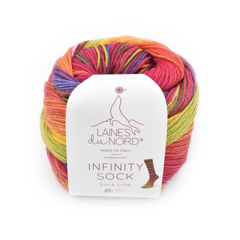 Laines du Nord Paint Infinity Sock Yarn