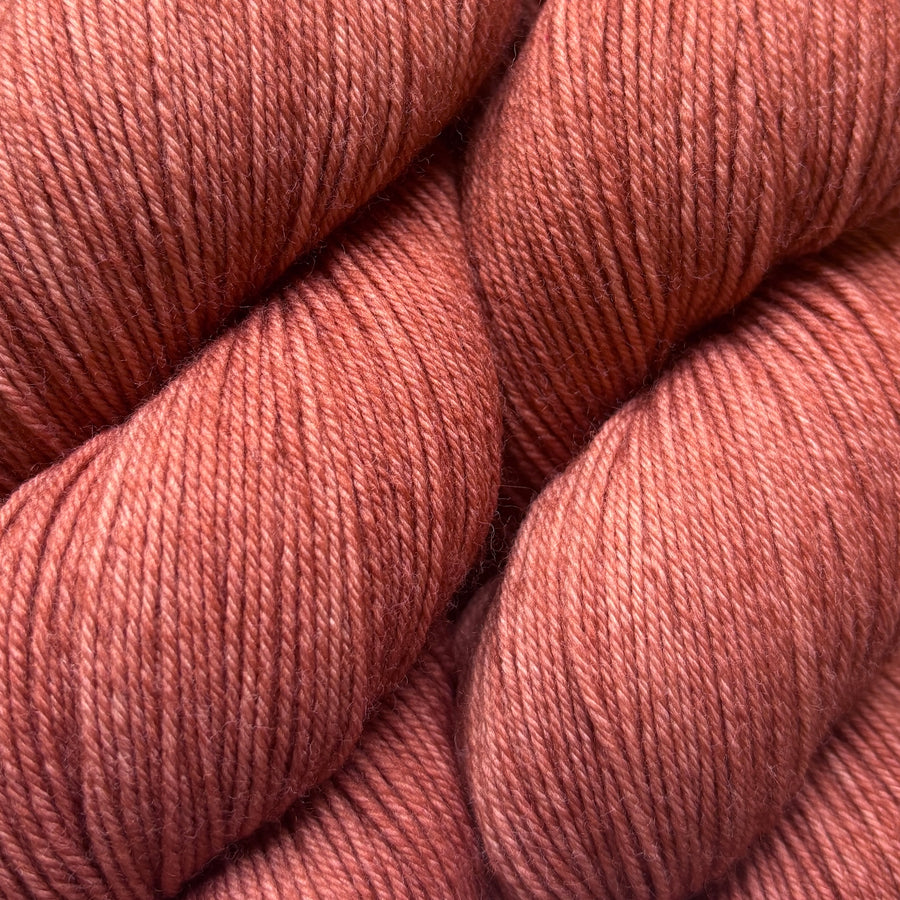 baah-footloose-my-chihuahua-bites-secondary