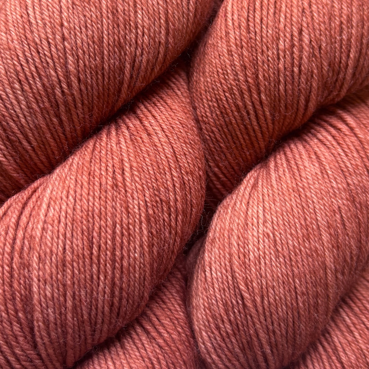 baah-footloose-my-chihuahua-bites-secondary