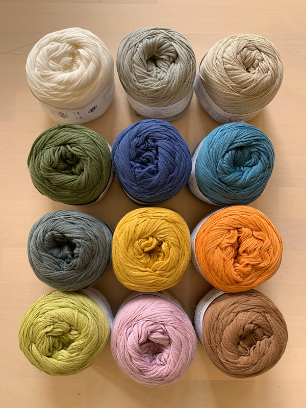 Berroco Vera - Apricot Yarn & Supply