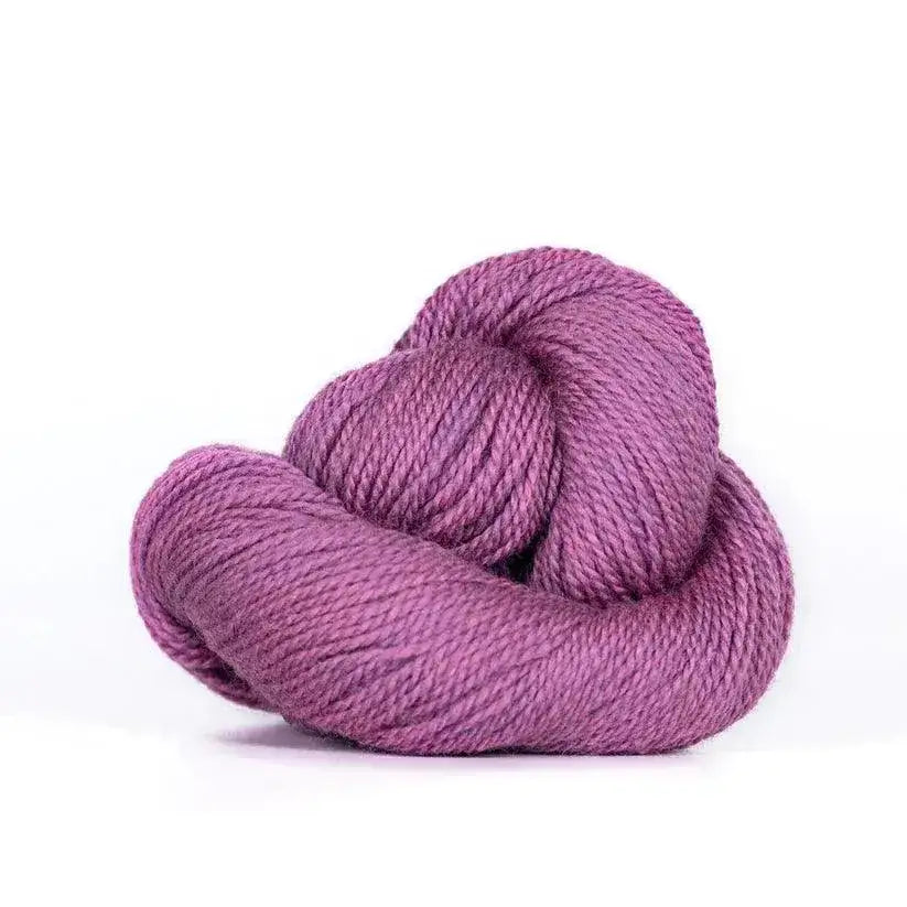 camper-519-orchid-heather