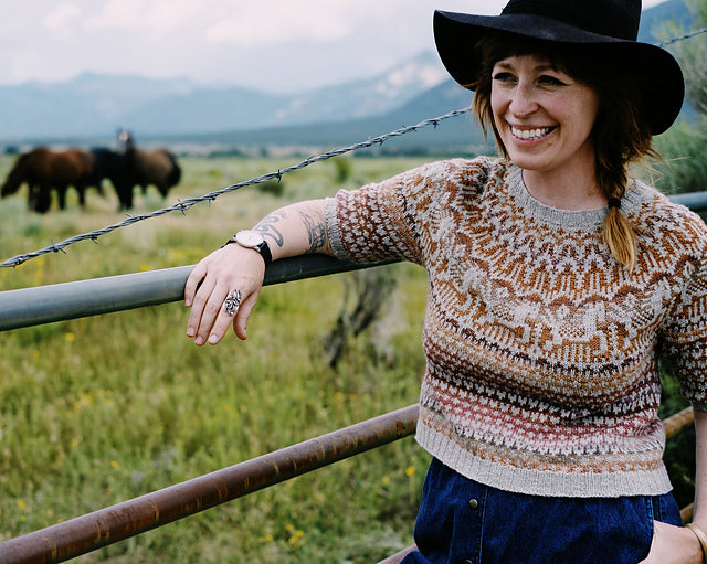 Ghost Horses Top: A Colorwork Sweater Class
