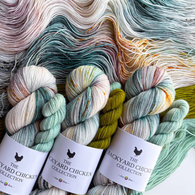 Hue Loco 2025 Backyard Chicken Sock Sets - Apricot Yarn & Supply