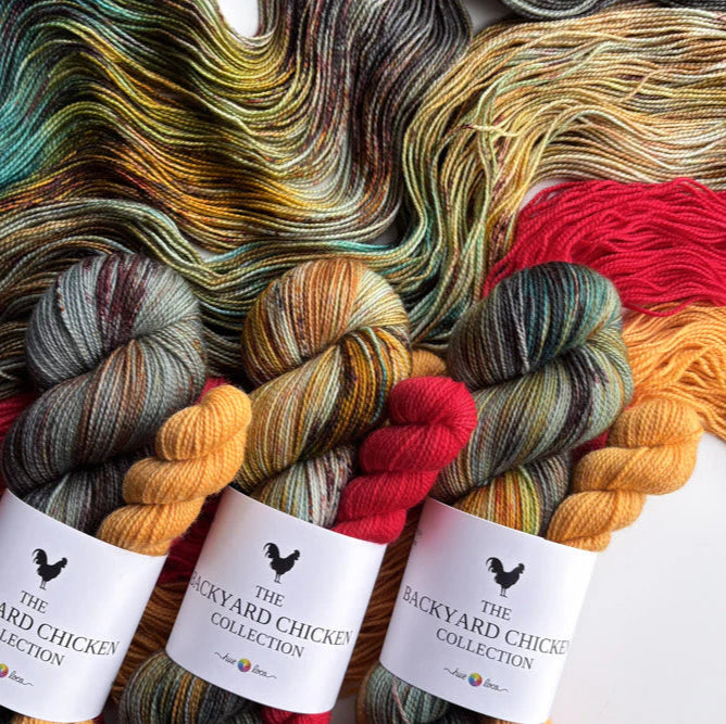 Hue Loco 2025 Backyard Chicken Sock Sets - Apricot Yarn & Supply