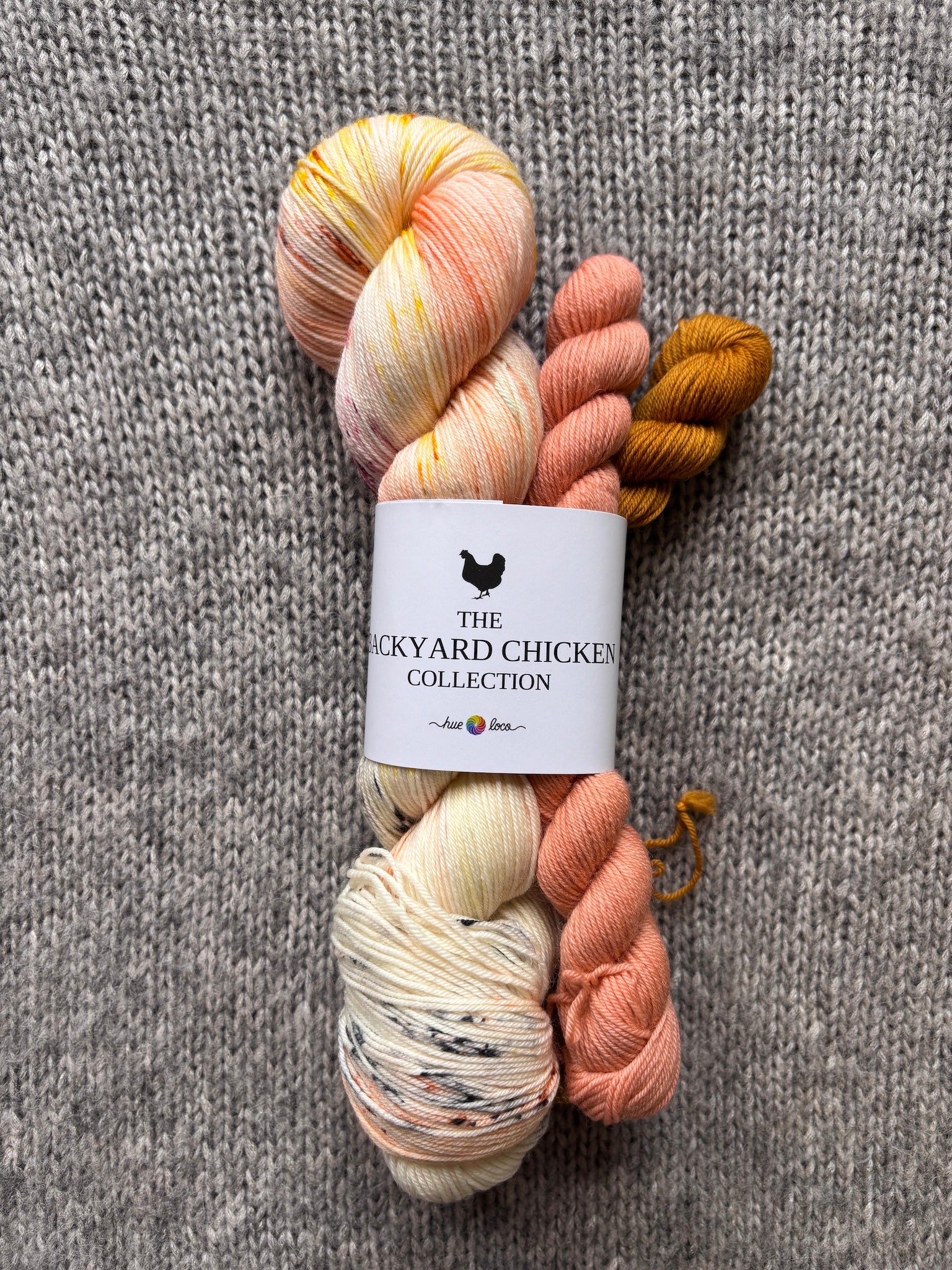 Hue Loco 2026 Backyard Chicken Sock Sets