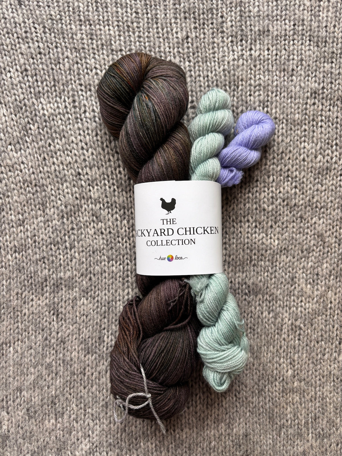 Hue Loco 2026 Backyard Chicken Sock Sets