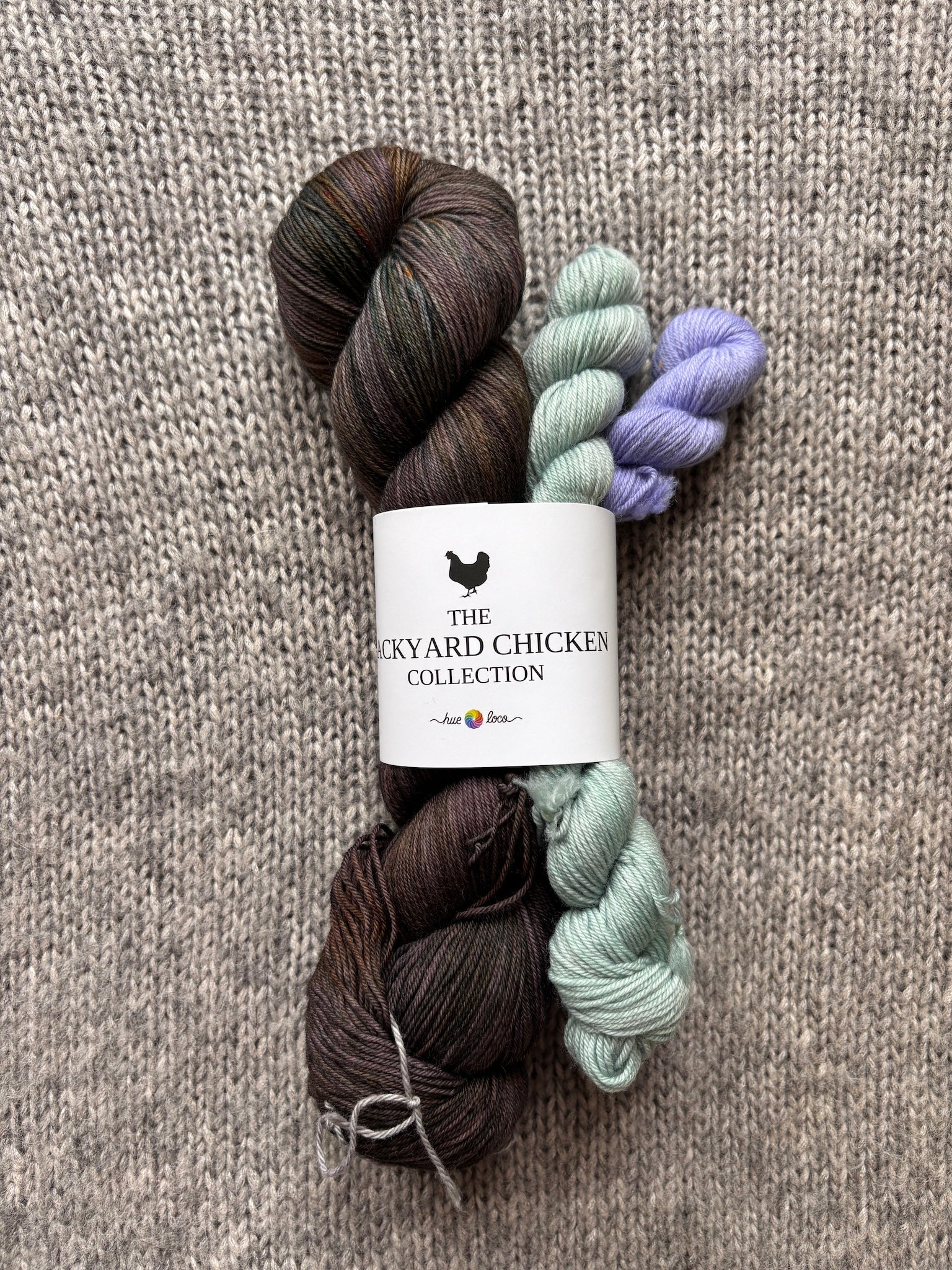 Hue Loco 2026 Backyard Chicken Sock Sets