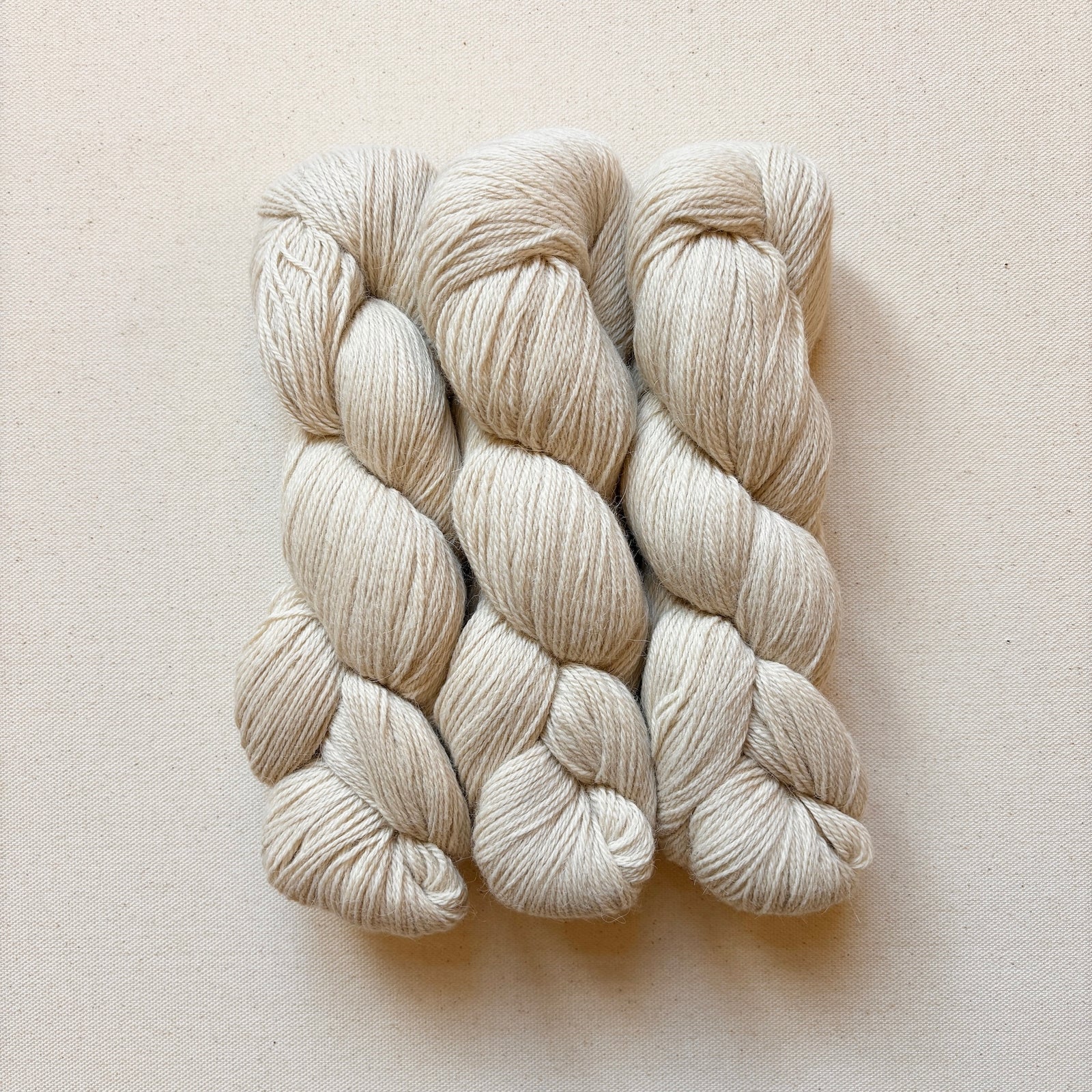 illimani-eco-llama-BM-bone