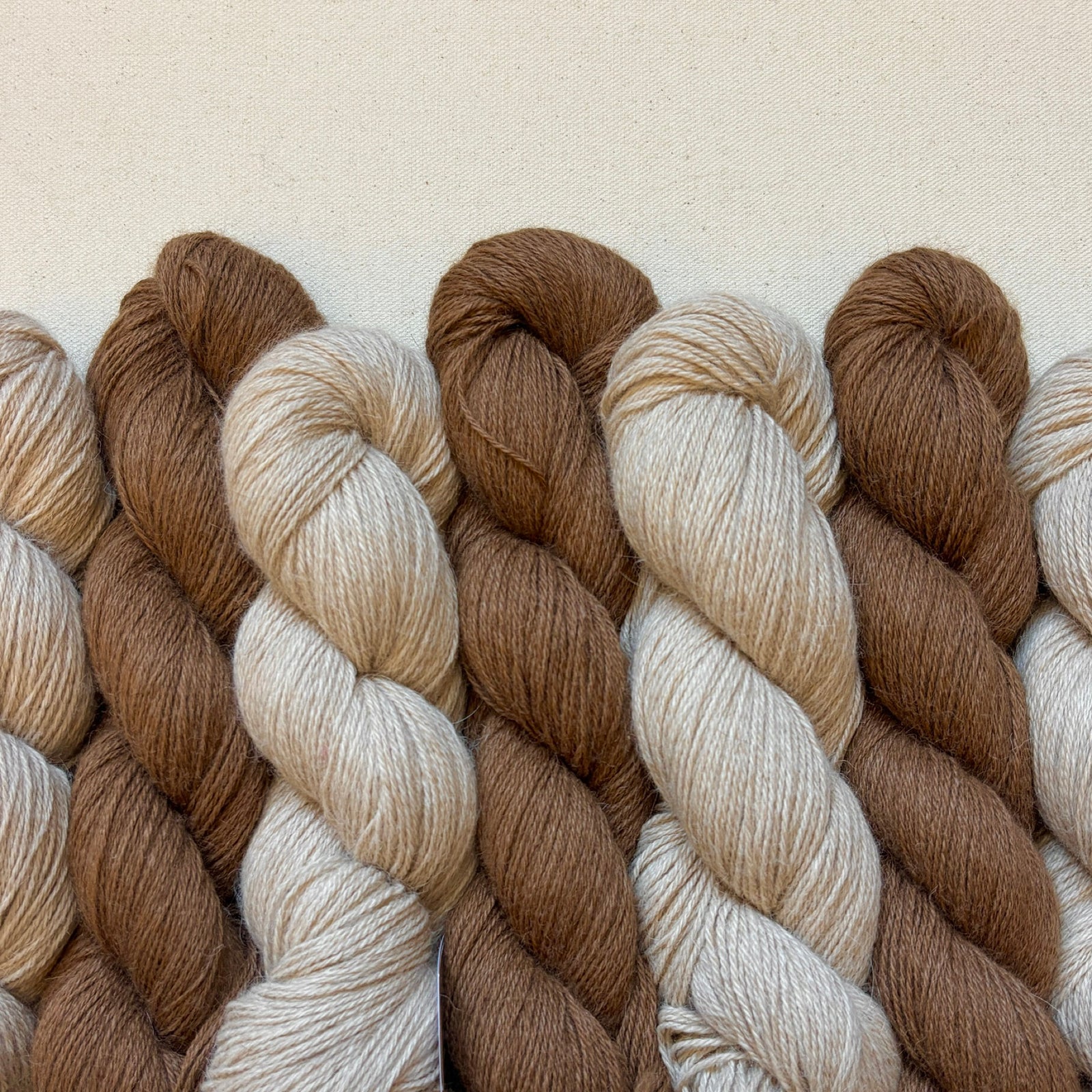 Illimani Yarn Eco Llama