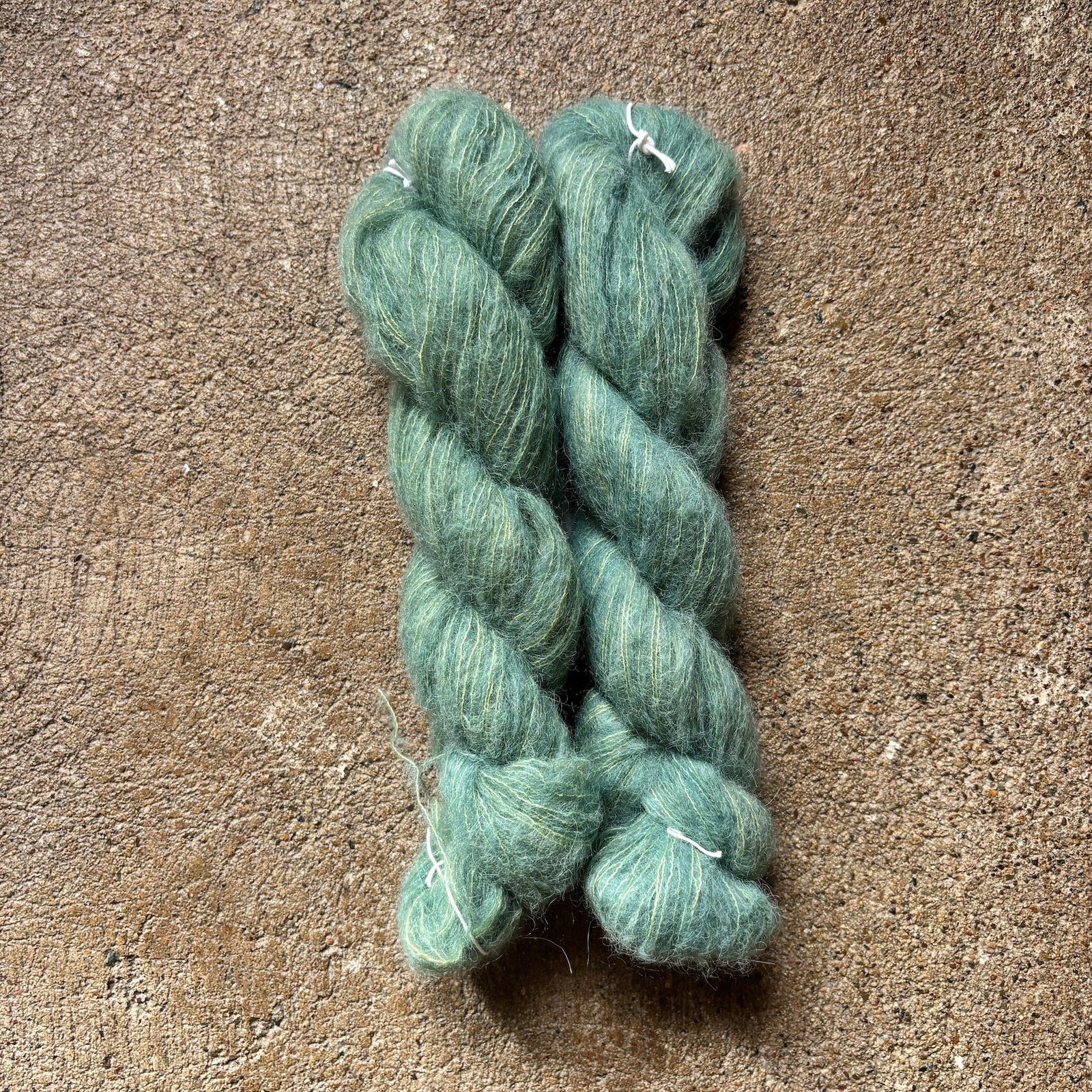 kinua-the-fuzzy-104-algae