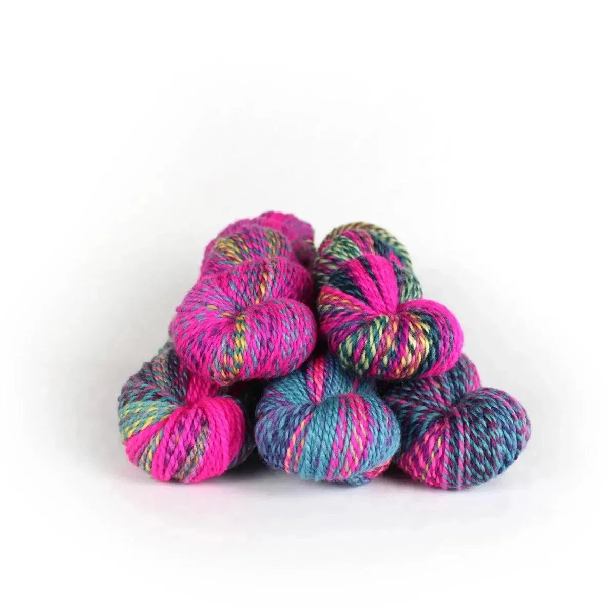 making-tracks-vermont-vice