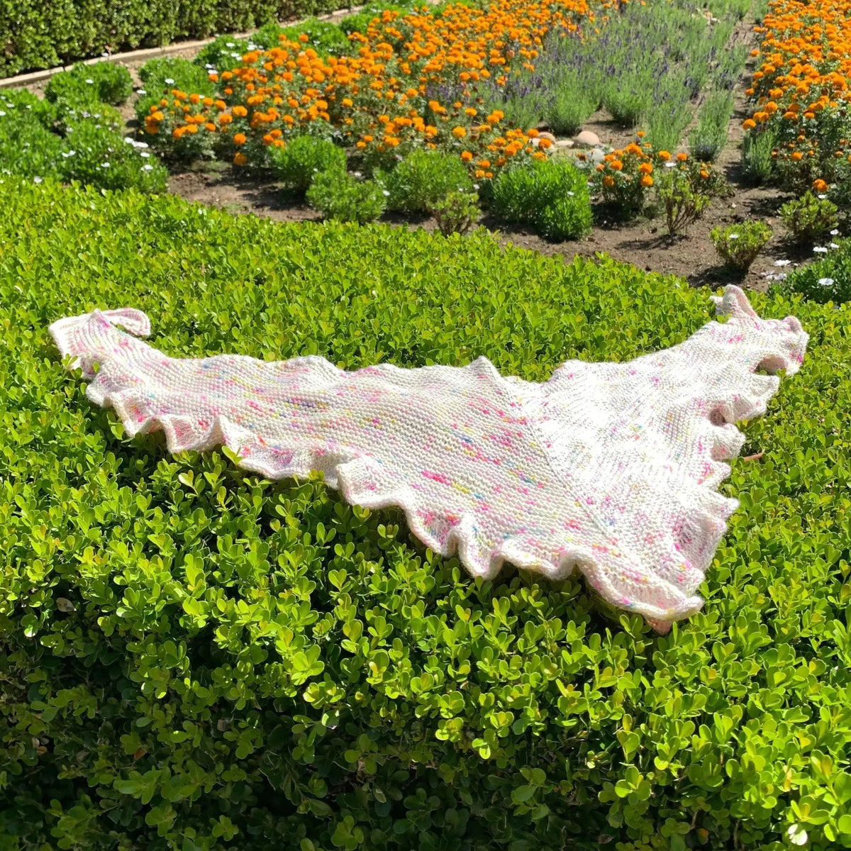 Petal Shawl Pattern - Apricot Yarn & Supply