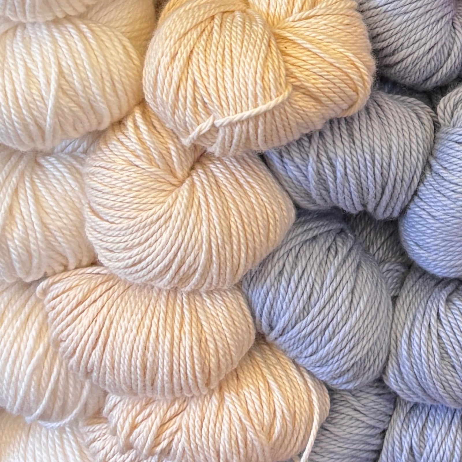 Quince & Co Whimbrel