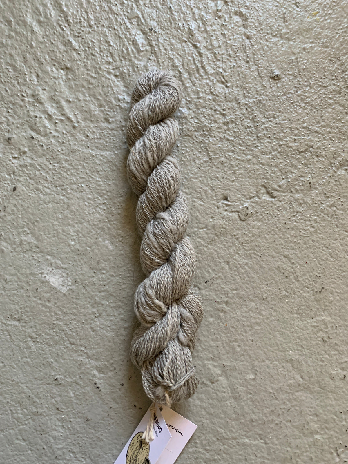 seven-oaks-ranch-silver-gray-Ramses