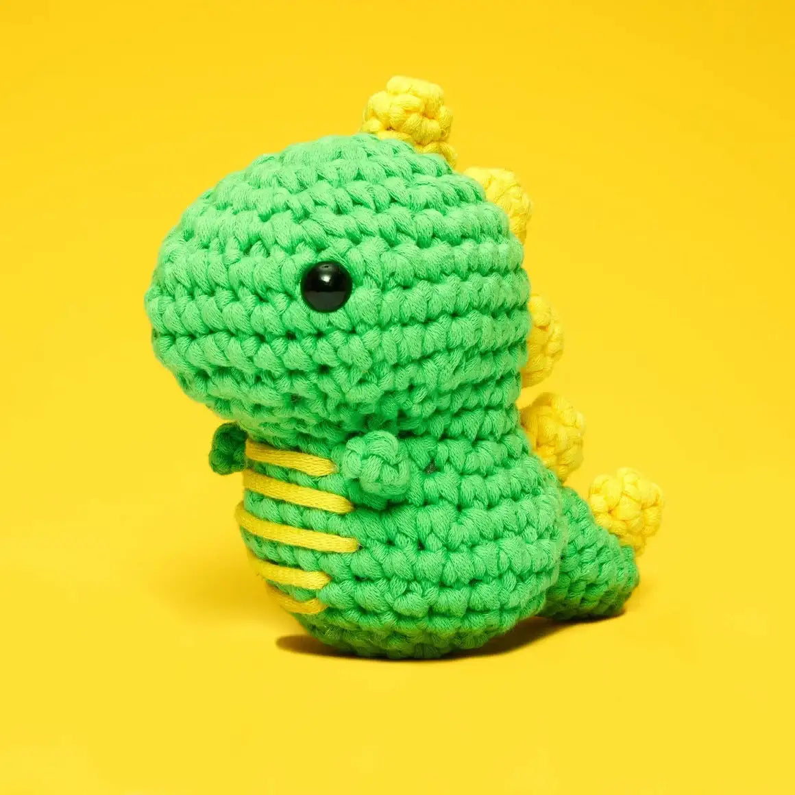 Beginner Colorful crochet dog on a green background crochet kit with yarn, hook, and stuffing