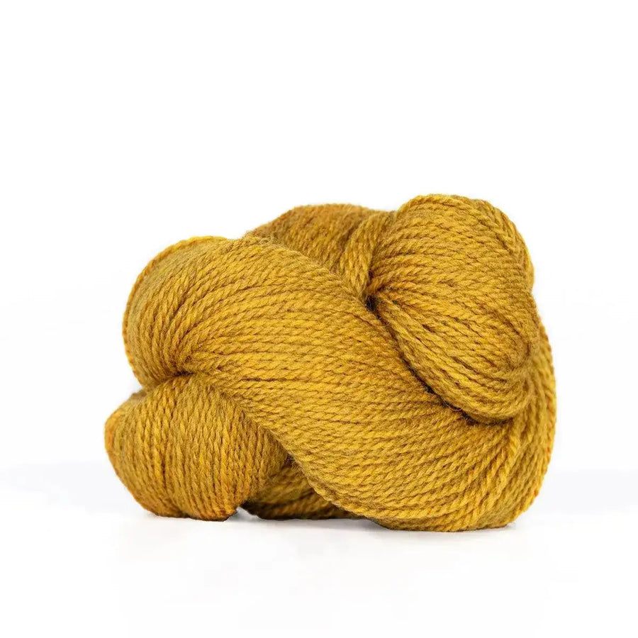 camper-709-sunflower-heather