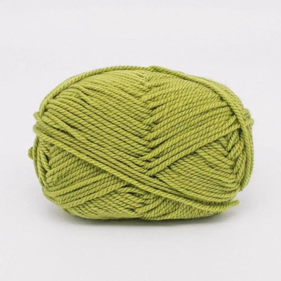 ewe_ewe_wooly_worsted_50_pistachio
