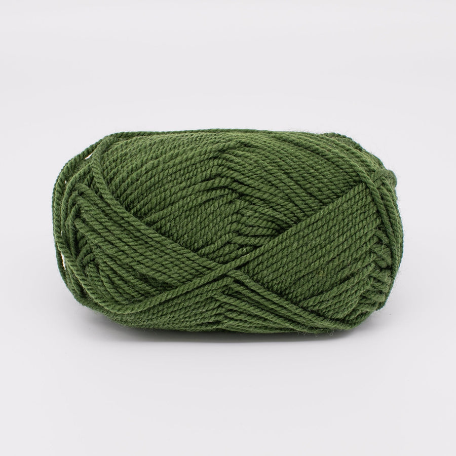 ewe_ewe_wooly_worsted_53_forest_fern