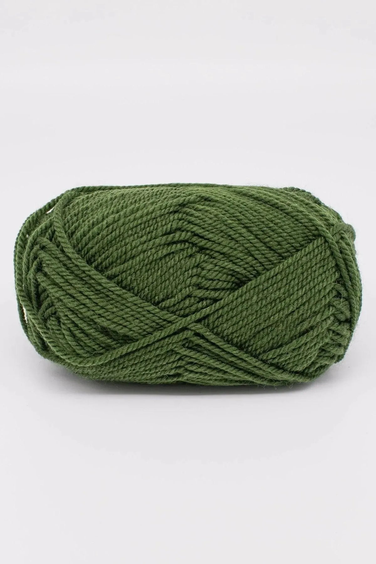 ewe_ewe_wooly_worsted_53_forest_fern