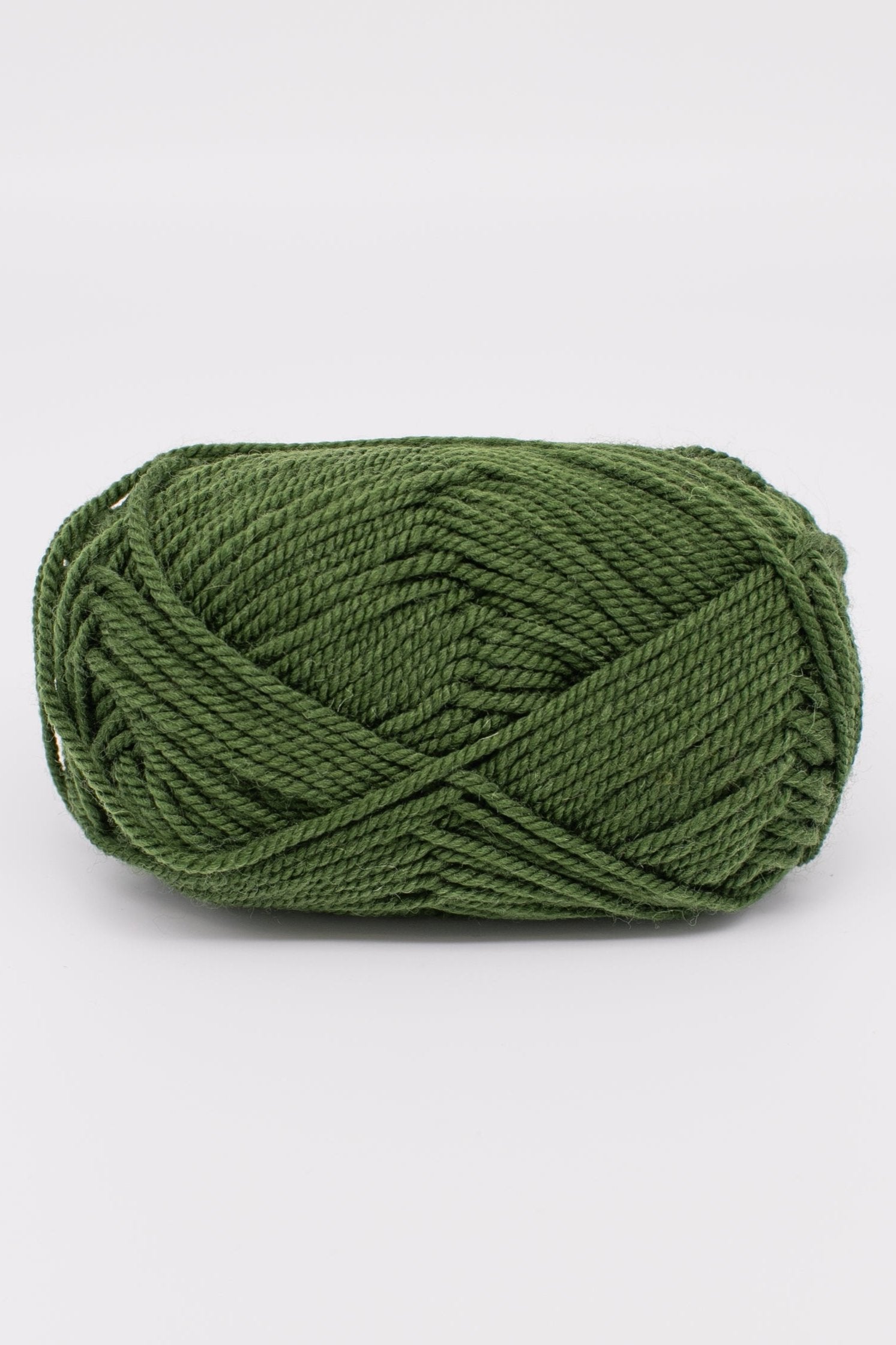 ewe_ewe_wooly_worsted_53_forest_fern